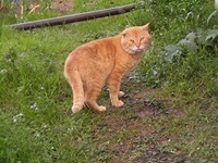 CIMG0507.jpg
