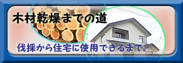 伐採から住宅に使用出来るまでの材木乾燥の道