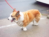 カメラが苦手らしい・・・