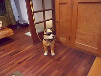 防犯! 防犯!! 防わん!!! 防犯! 防犯!! 防わん!!!