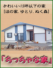 『 ちっちゃな家』15坪以下の平屋の一戸建てカワイイお家～新築プラン